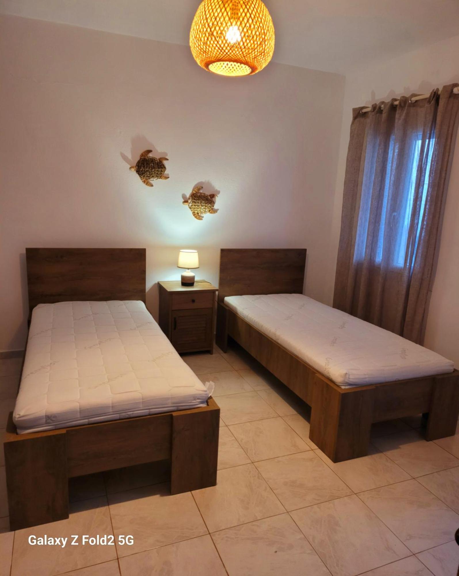 Tinos Apartments Zalonis 아기오스 이오니스 외부 사진